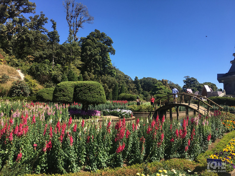 春节之旅+行走在泰国的清迈、拜县七天六晚（美图，已更新完毕）