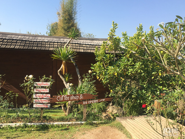 春节之旅+行走在泰国的清迈、拜县七天六晚（美图，已更新完毕）