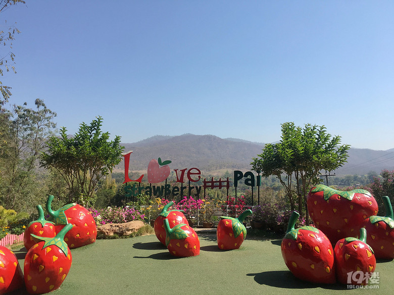 春节之旅+行走在泰国的清迈、拜县七天六晚（美图，已更新完毕）