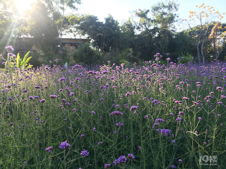春节之旅+行走在泰国的清迈、拜县七天六晚（美图，已更新完毕）