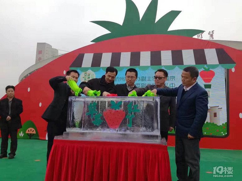 采完草莓游建德,建德草莓采摘游直通巴士發(fā)車啦!