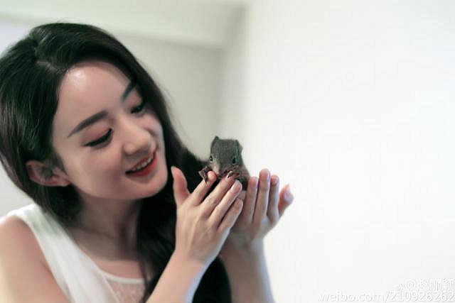 赵丽颖为什么突然宣布暂别娱乐圈?小骨其实还做过令人动容的事!