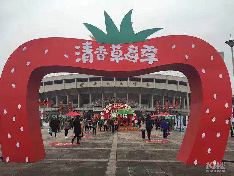 采完草莓游建德,建德草莓采摘游直通巴士發(fā)車啦!