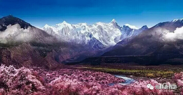 自驾三月成都出发西藏旅游