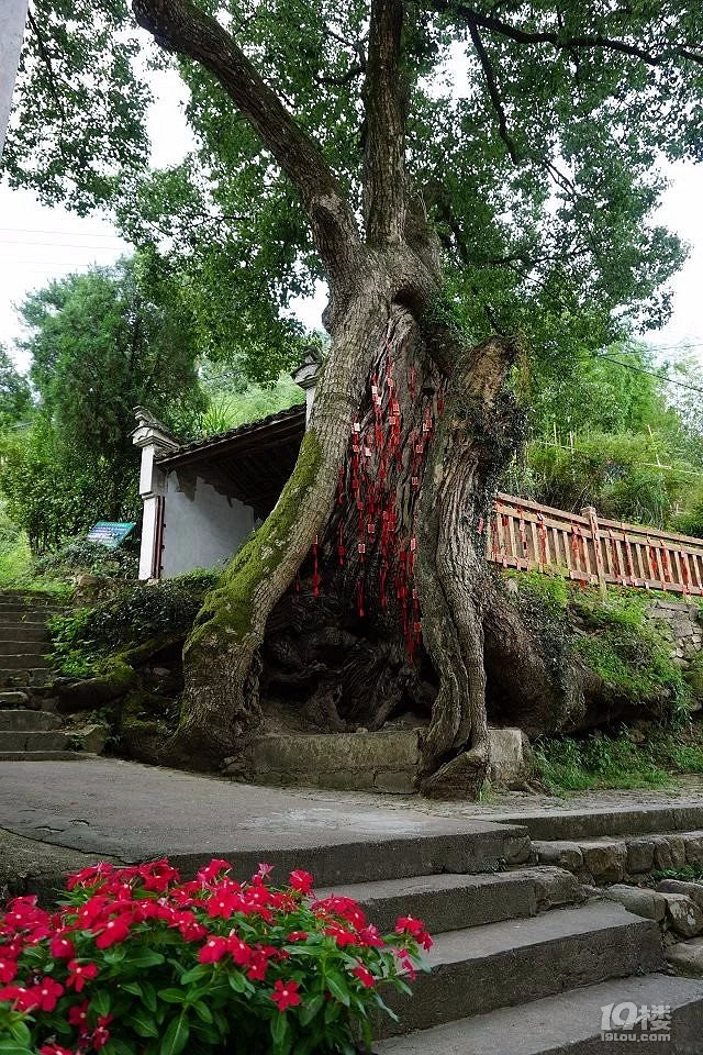 周末悠闲好去处——兰溪市芝堰古村——喜欢安静的朋友可以去