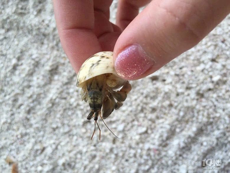 马尔代夫一价全包LILY莉莉岛游记-游记攻略-旅