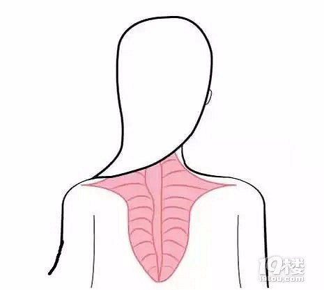 杭州打瘦腿针哪里好?杭州打瘦腿针多少钱?-M