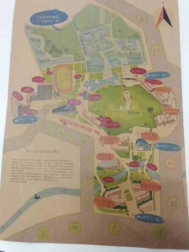深大新校区今起入伙!宿舍食堂颜值爆表,一进校门就有东西跟着你