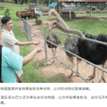 马来帮主带你游览马六甲 · 感受不一样的古城