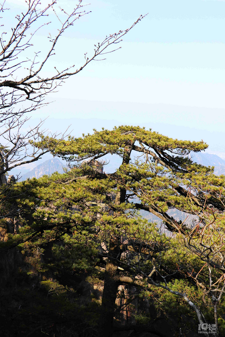 【遇见春天】 万仞高山观云