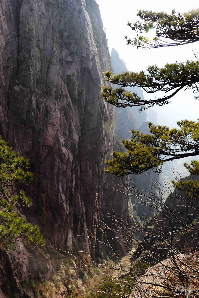 【遇见春天】 万仞高山观云