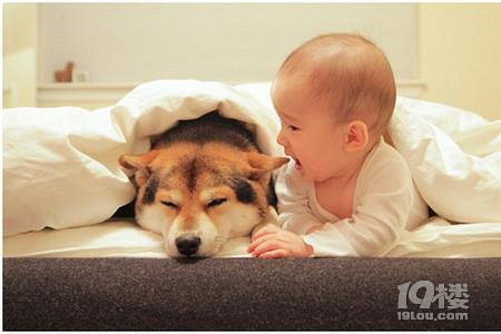 冬春交替容易引起宝宝过敏,这七种过敏源要远