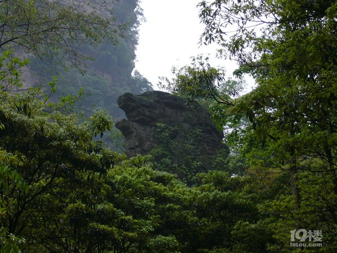 毕业旅行-美丽神奇的张家界-醉美凤凰古城