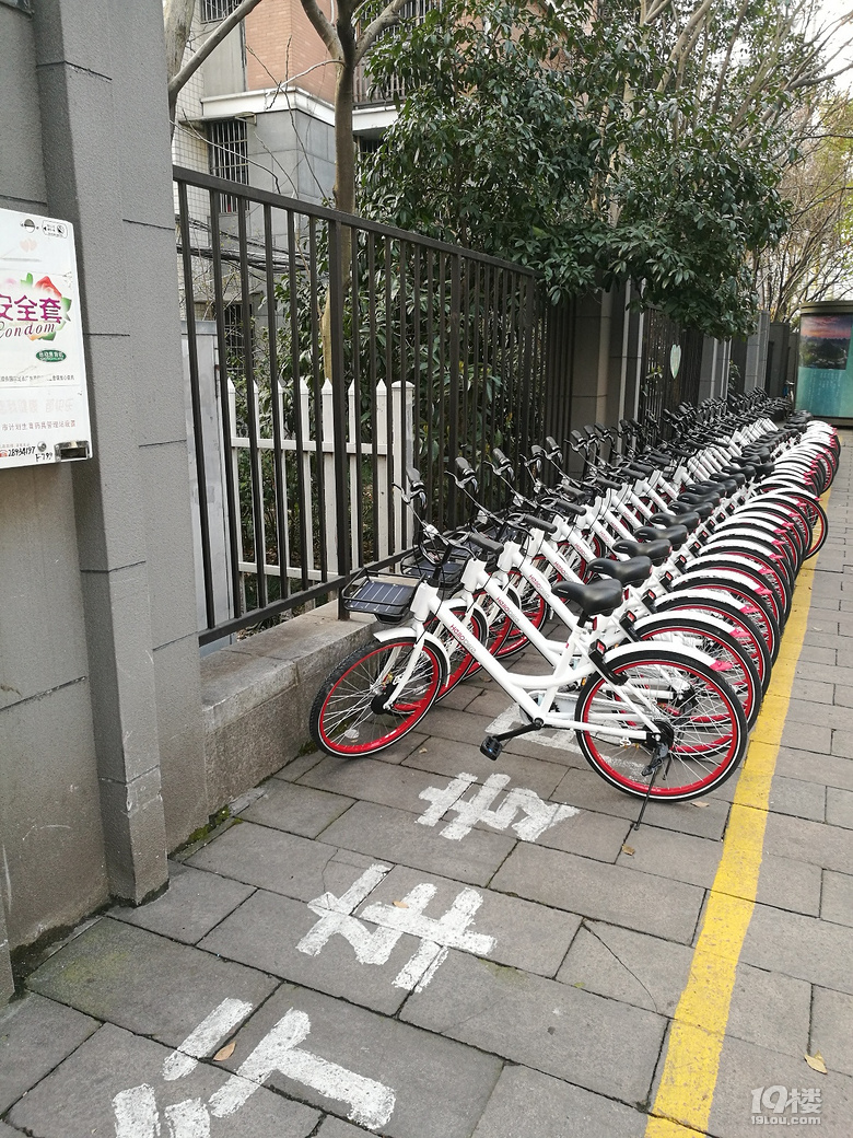 共享单车(小白)Hello bike野蛮占道-我要爆料-我