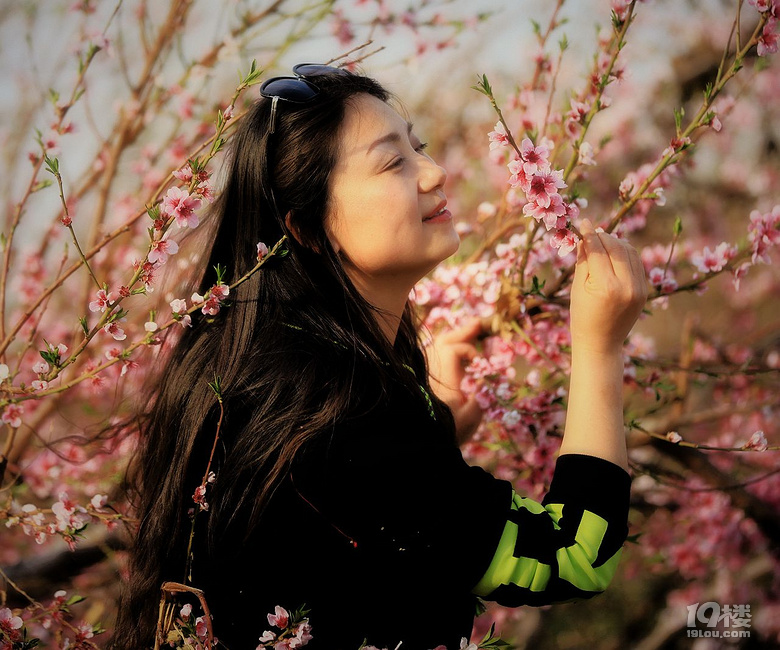 新疆吐尔根野杏花，4月初开花，中旬结束，约趁早哦