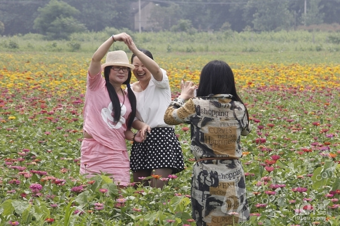 曹山慢城一日遊 騎樂曹山 花海慢旅