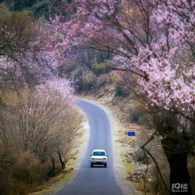 3月15，20成都出发去西藏