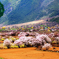 3月-5月-川藏南线+稻城亚丁+米堆冰川+林芝+羊湖11日游拼车捡人_图4