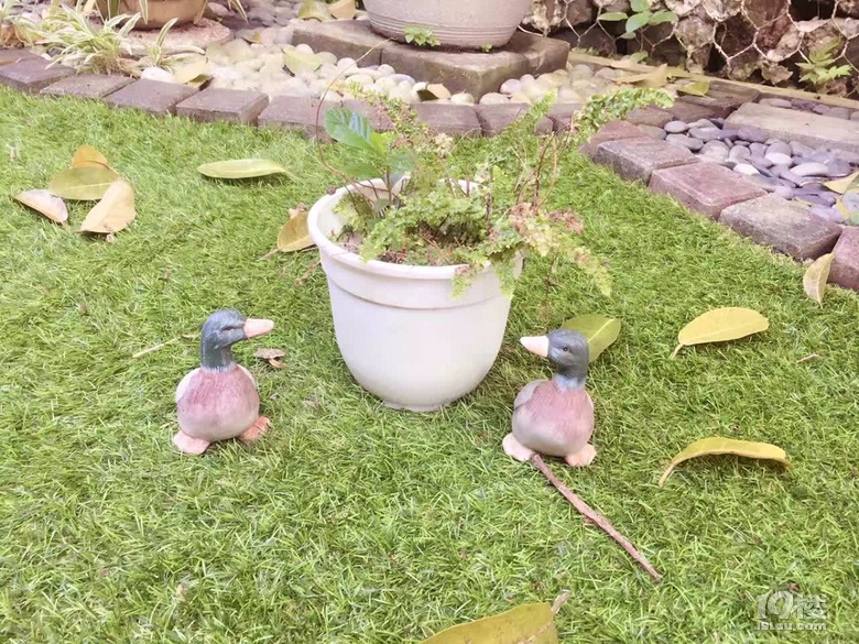 MĴѿԁȫº֮2