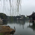 周日冒雨游柯岩
