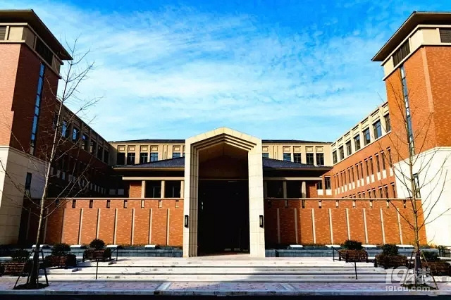 大城西什么學校這么牛 ?才一周就把我兒子迷得放假都不肯回家!