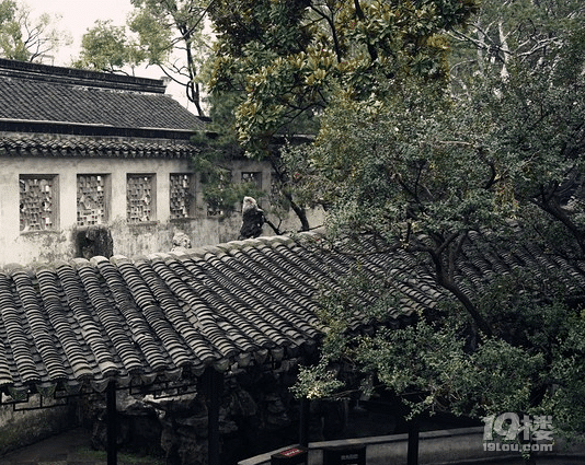姑蘇城中早春游歷,大小兩園林!