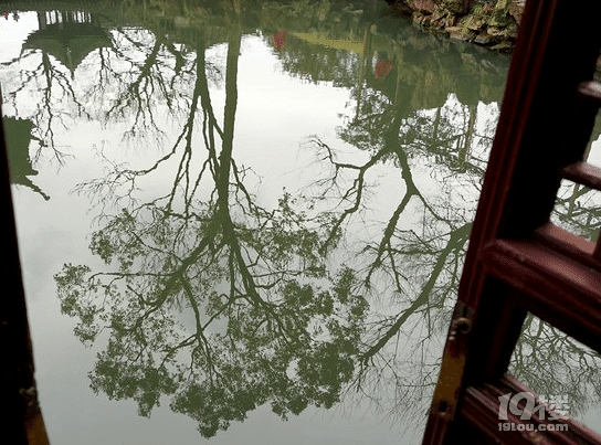 姑蘇城中早春游歷,大小兩園林!