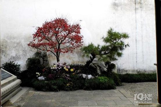 姑蘇城中早春游歷,大小兩園林!