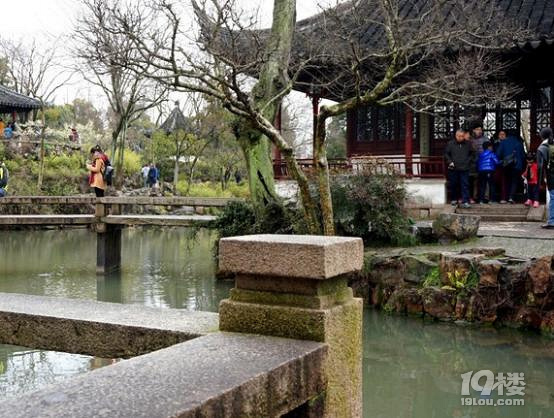 姑蘇城中早春游歷,大小兩園林!