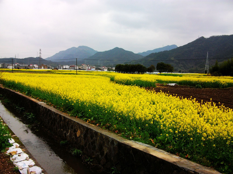 乡村田野(一)-风景照-19摄区-杭州19楼