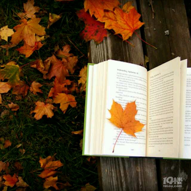 山下讀書 | 四月書單