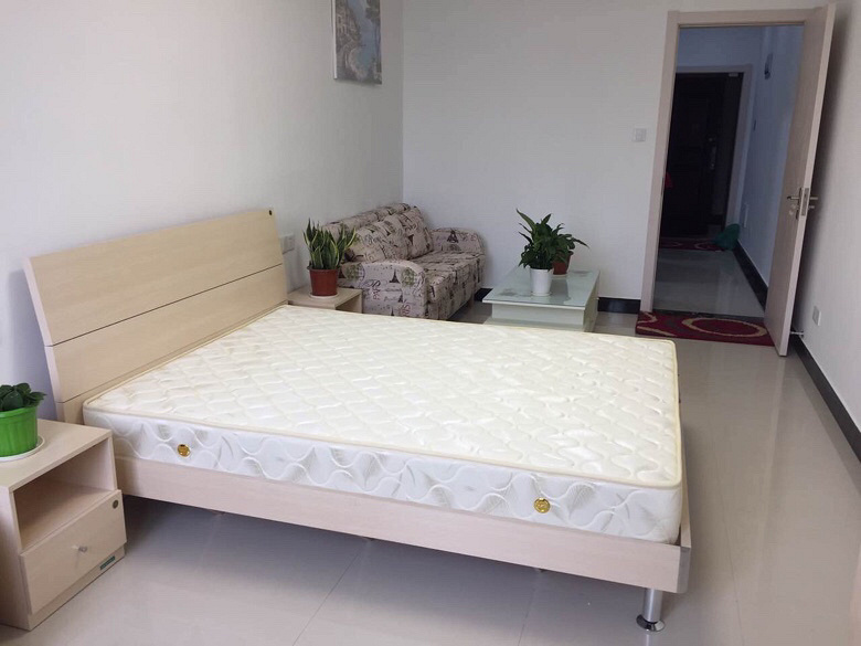 杭州滨江中栋国际公寓,50方精装修,拎包入住,3