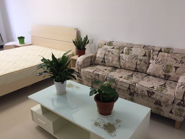 杭州滨江中栋国际公寓,50方精装修,拎包入住可