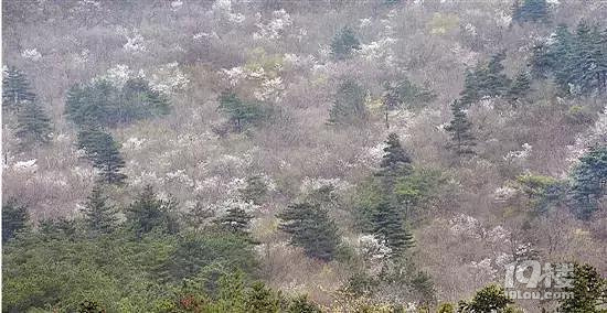 外景婚纱摄影哪里好?杭州值得推荐的8个外景