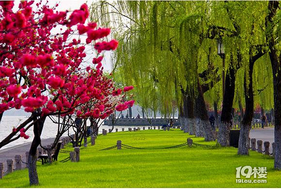 杭州西湖桃花什么时候?杭州可以赏桃花地方汇总~