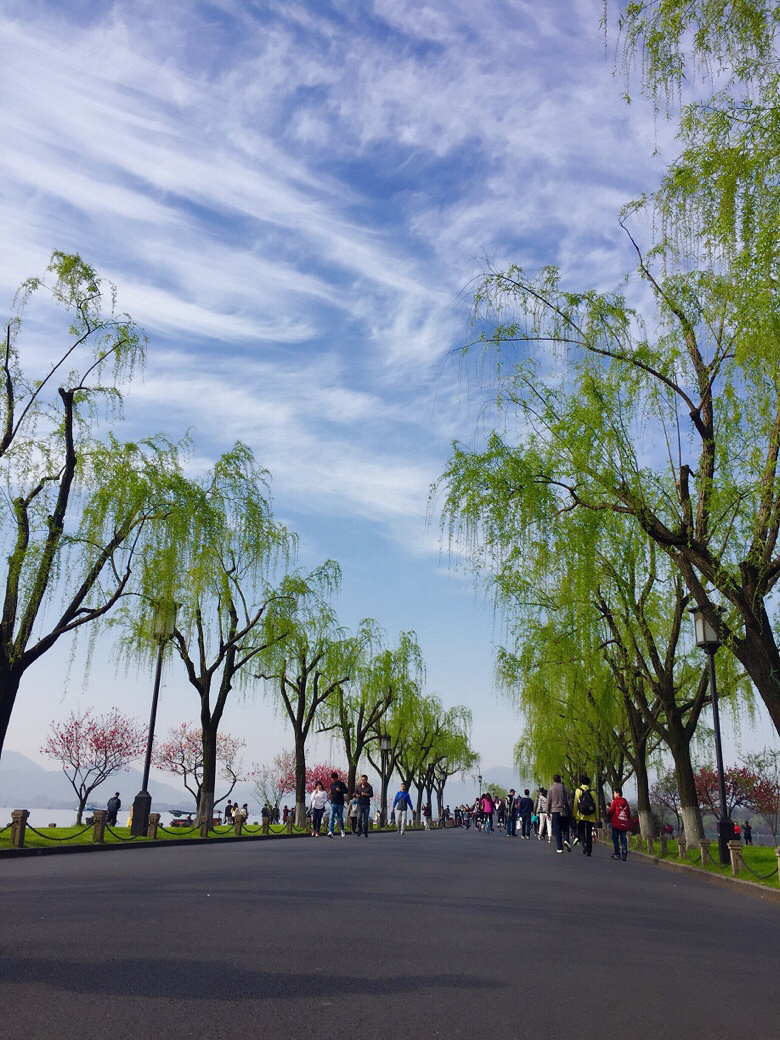 白堤-手机随手拍-19摄区-杭州19楼