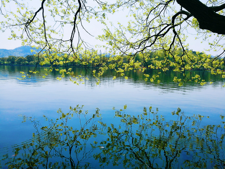 人间四月天-西湖美景-风景照-19摄区-杭州19楼