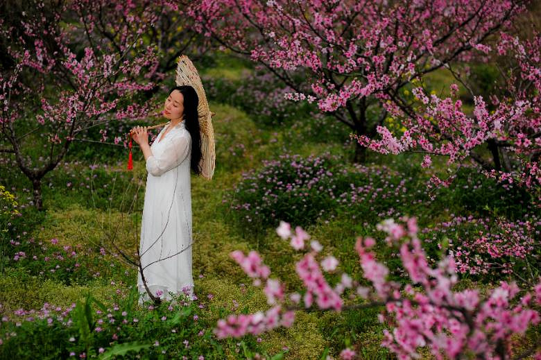 三生三世十里桃花