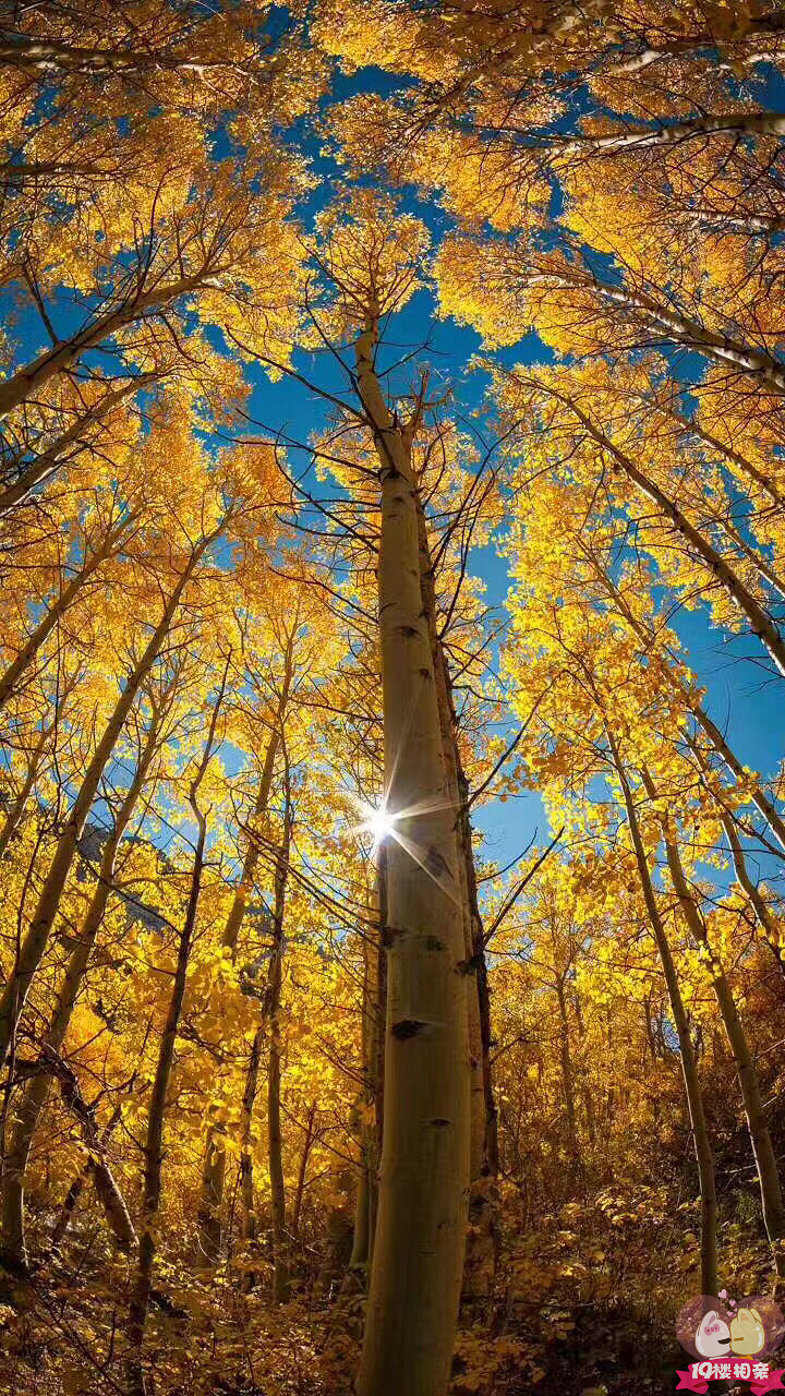 一个人好无聊。还是玩游戏吧!_单身打卡__杭州