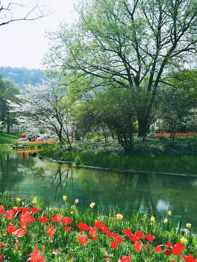 人间四月天-西湖美景(二)-风景照-19摄区-杭州19楼