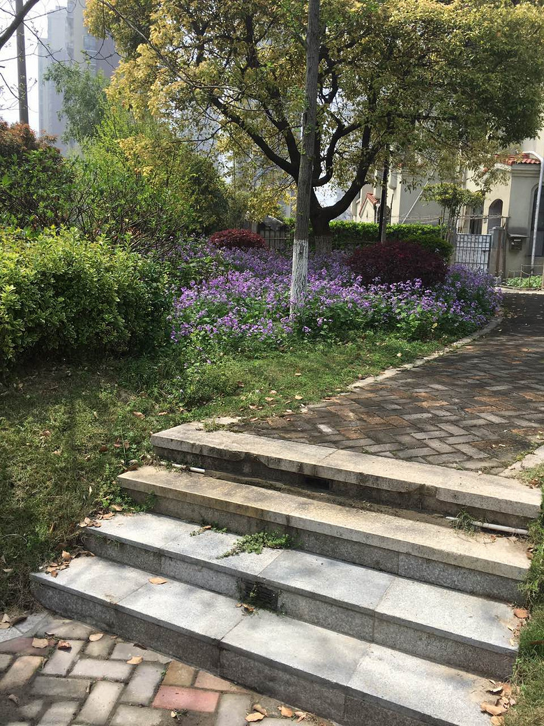 2017年4月8日下沙沿江伊萨卡国际城随拍