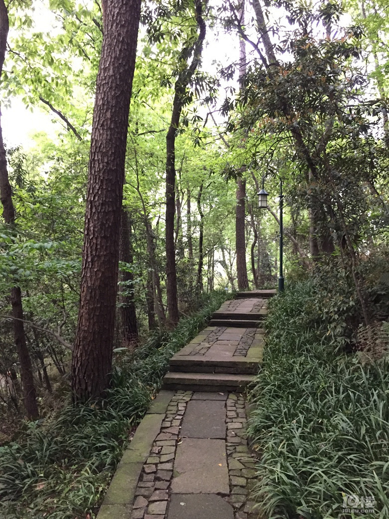 路过