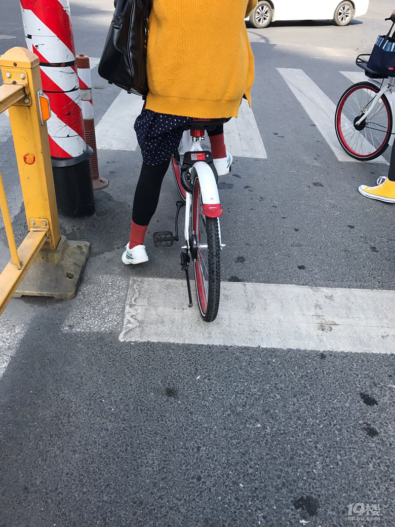 hello bike与美人,哈美-我要爆料-杭州19楼