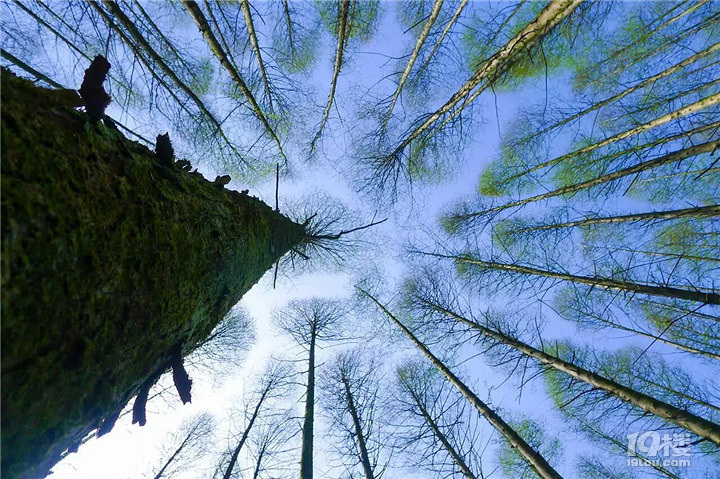 漠河简介-中国的最北的地理坐标-播报-旅游先遣