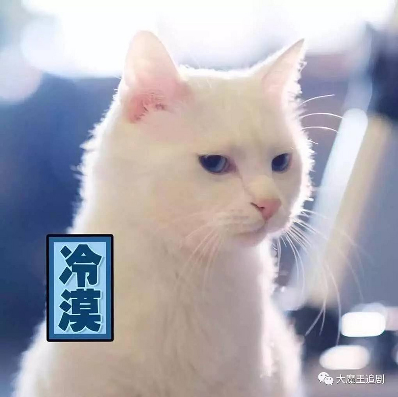 白瞎神演技的事情不是只有中国导演干得出,外国导演作死起来也是