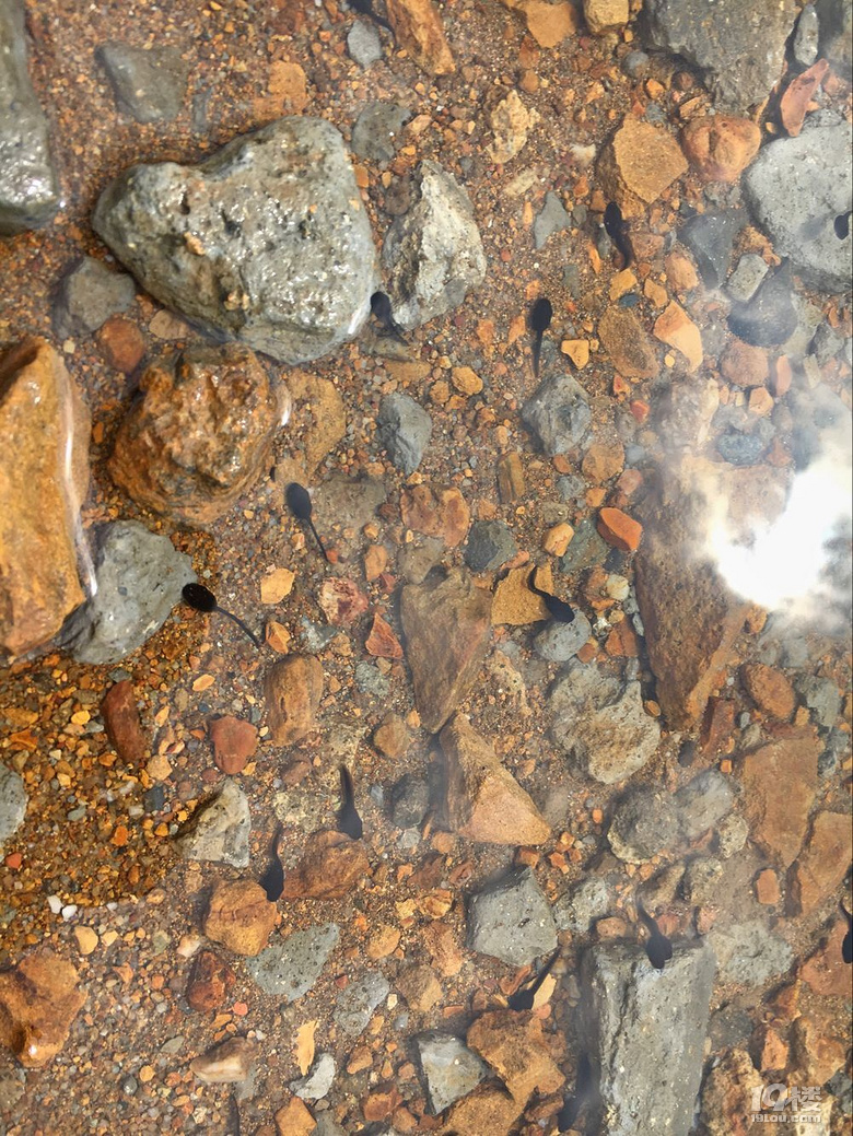 愛自由---------吳越古道,浙西天池