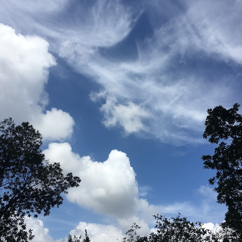 【隨手拍活動(dòng)】每天匆匆上下班,你錯(cuò)過(guò)了多少風(fēng)景