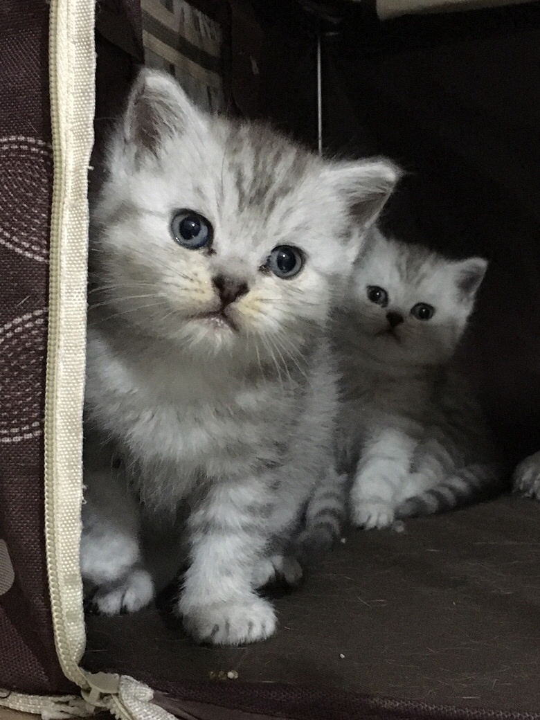 一个不吸引人的标题,_喵星人根据地__杭州19