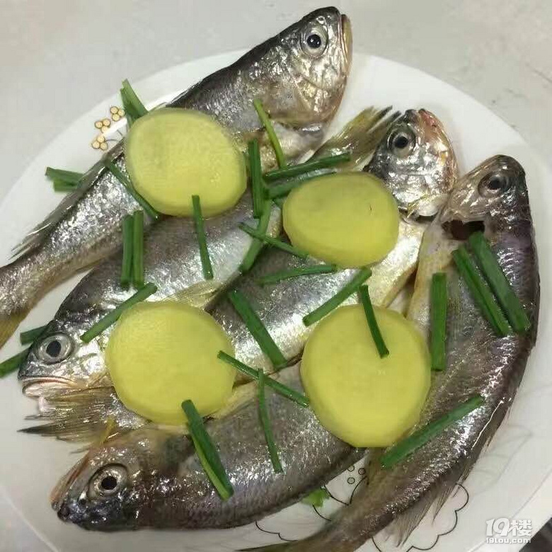 "小望潮"海鲜实拍图 无污染无添加正宗舟山海鲜