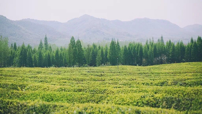 美景與趣味,這里都能給你!義遠(yuǎn)有機(jī)農(nóng)莊2天露營(yíng)攻略